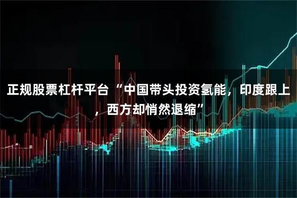 正规股票杠杆平台 “中国带头投资氢能，印度跟上，西方却悄然退缩”