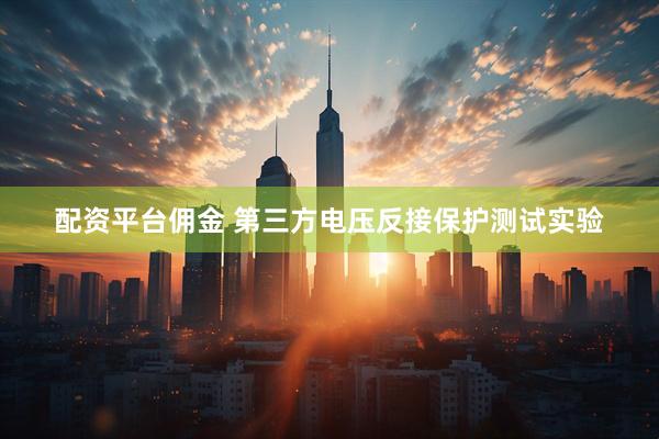 配资平台佣金 第三方电压反接保护测试实验